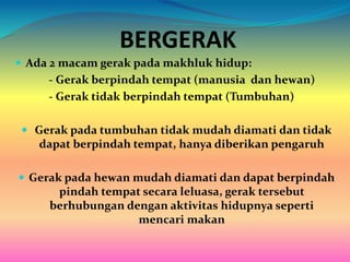 BERGERAK
 Ada 2 macam gerak pada makhluk hidup:
- Gerak berpindah tempat (manusia dan hewan)
- Gerak tidak berpindah tempat (Tumbuhan)
 Gerak pada tumbuhan tidak mudah diamati dan tidak
dapat berpindah tempat, hanya diberikan pengaruh
 Gerak pada hewan mudah diamati dan dapat berpindah
pindah tempat secara leluasa, gerak tersebut
berhubungan dengan aktivitas hidupnya seperti
mencari makan
 