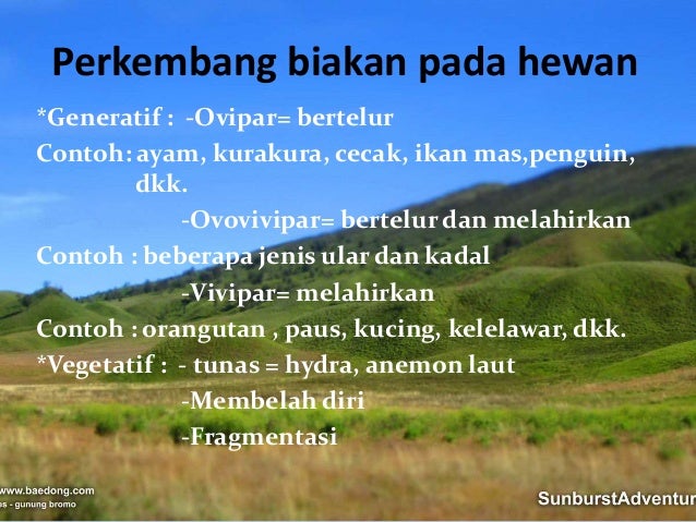 Contoh Hewan Air Ovovivipar Rasmi V Contoh Hewan Air Ovovivipar Rasmi V