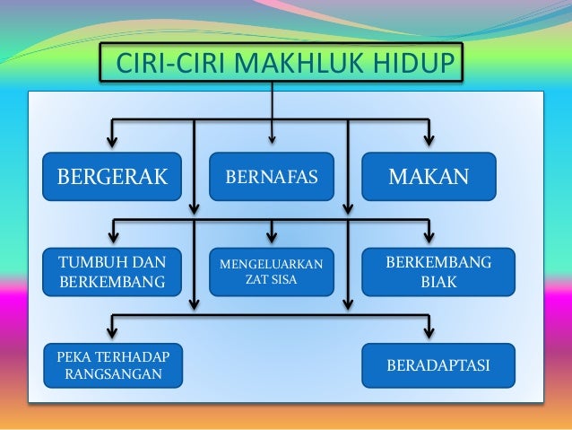 Keanekaragaman makluk hidup Keanekaragaman makluk hidup