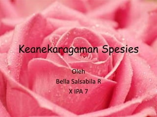 Keanekaragaman Spesies
Oleh
Bella Salsabila R
X IPA 7
 