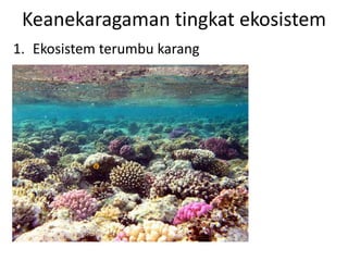 Keanekaragaman tingkat ekosistem 
1. Ekosistem terumbu karang 
 