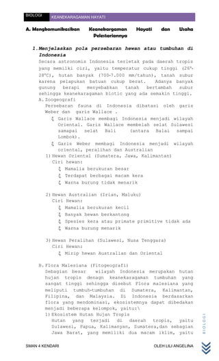 BIOLOGI     KEANEKARAGAMAN HAYATI


A. Mengkomunikasikan      Keanekargaman     Hayati      dan     Usaha
                           Pelestariannya

  1. Menjelaskan pola persebaran hewan atau tumbuhan di
     Indonesia
     Secara astronomis Indonesia terletak pada daerah tropis
     yang memilki ciri, yaitu temperatur cukup tinggi (26 -
     28 C), hutan banyak (700-7.000 mm/tahun), tanah subur
     karena pelapukan batuan cukup berat.        Adanya banyak
     gunung    berapi   menyebabkan   tanah   bertambah  subur
     sehingga keanekaragaman biotic yang ada semakin tinggi.
     A. Zoogeografi
        Persebaran fauna di Indonesia dibatasi oleh garis
        Weber dan garis Wallace .
             Garis Wallace membagi Indonesia menjadi wilayah
             Oriental. Garis Wallace membelah selat Sulawesi
             samapai selat Bali         (antara Balai sampai
             Lombok).
             Garis Weber membagi Indonesia menjadi wilayah
             oriental, peralihan dan Australian
        1) Hewan Oriental (Sumatera, Jawa, Kalimantan)
           Ciri hewan:
                Mamalia berukuran besar
                Terdapat berbagai macam kera
                Warna burung tidak menarik

          2) Hewan Australian (Irian, Maluku)
             Ciri Hewan:
                  Mamalia berukuran kecil
                  Banyak hewan berkantong
                  Spesies kera atau primate primitive tidak ada
                  Warna burung menarik

          3) Hewan Peralihan (Sulawesi, Nusa Tenggara)
             Ciri Hewan:
                  Mirip hewan Australian dan Oriental

     B. Flora Malesiana (Fitogeografi)
        Sebagian besar     wilayah Indonesia merupakan hutan
        hujan tropis denagn keanekaragaman tumbuhan yang
        sangat tinggi sehingga disebut Flora malesiana yang
        meliputi tumbuh-tumbuhan di Sumatera, Kalimantan,
        Filipina, dan Malaysia. Di Indonesia berdasarkan
        flora yang mendominasi, ekosistemnya dapat dibedakan
        menjadi beberapa kelompok, yaitu:
        1) Ekosistem Hutan Hujan Tropis
                                                                          BIOLOGI




           Hutan yang terjadi di daerah tropis, yaitu
           Sulawesi, Papua, Kalimanyan, Sumatera,dan sebagian
           Jawa Barat, yang memiliki dua macam iklim, yaitu

SMAN 4 KENDARI                                       OLEH LILI ANGELINA
 