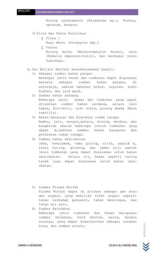 BIOLOGI     KEANEKARAGAMAN HAYATI

                 Burung cendrawasih   (Paradisea   sp.),    Kuskus,
                 opossum, kanguru

          3) Flora dan Fauna Peralihan
                  Flora :
                  Kayu eboni (Diospyros spp.)
                  Fauna:
                  Burung maleo (Machrocephalon maleo), anoa
                  (Bubalus depressicronis), dan berbagai jenis
                  kupu-kupu.

     b. Dan Berikut Manfaat keanekaragaman hayati:
        1) Sebagai sumber bahan pangan
           Berbagai jenis hewan dan tumbuhan dapat digunakan
           manusia    sebagai    sumber  bahan   pangan,  di
           antaranya, adalah makanan pokok, sayuran, buah-
           buahan, dan lauk pauk.
        2) Sumber bahan sandang
           Beberapa Janis     hewan dan tumbuhan yang dapat
           dijadikan sumber bahan sandang, antara lain
           kapas, biri-biri, ulat sutra, pisang abaka (Musa
           textilis).
        3) Bahan bangunan dan Alat-Alat rumah tangga
           Bambu, jati, sengon,gaharu, kruing, merbau, dan
           bangkirae adalah beberapa contoh tumbuhan yang
           dapat   dijadikan    sumber  bahan  bangunan  dan
           peralatan rumah tangga.
        4) Sumber bahan obat-obatan
           Jahe, temulawak, temu giring, sirih, adasik b,
           kimis kucing, ginseng, dan jambu biji adalah
           jenis tumbuhan yang dapat digunakan untuk bahan
           obat-obatan.    Selain itu, hewan seperti cacing
           tanah juga dapat digunakan untuk bahan obat-
           obatan.




          5) Sumber Plasma Nutfah
             Plasma Nutfah dapat di artikan sebagai gen atau
             gen unggul, yang memiliki sifat unggul seperti
             tahan terhadap penyakit, tahan kekringan, dan
             tahan air asin.
          6) Sumber Keindahan
             Beberapa jenis tumbuhan dan hewan merupakan
             sumber keidahan, baik bentuk, warna, maupun
             suranya, yang dapat dimanfaatkan sebagai tanaman
                                                                        BIOLOGI




             hias, dan sumber wisata.




SMAN 4 KENDARI                                     OLEH LILI ANGELINA
 