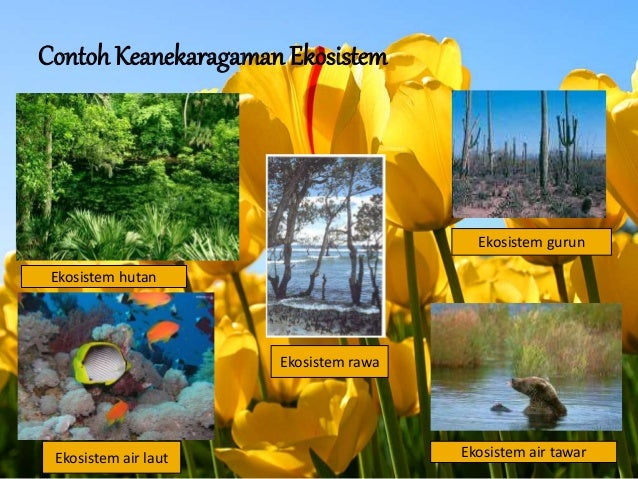 PPT Keanekaragaman hayati, biogeografi, klasifikasi dan 