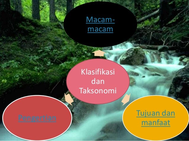 PPT Keanekaragaman hayati biogeografi klasifikasi dan 