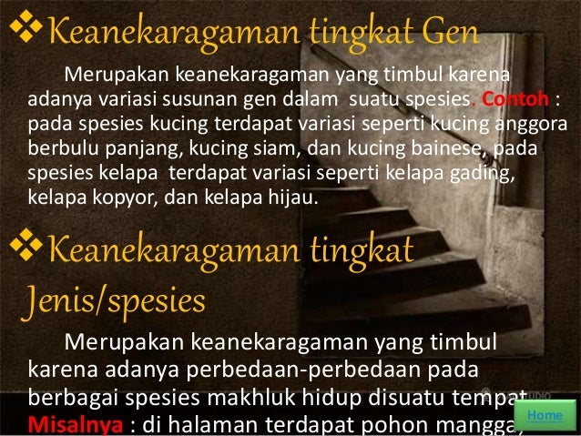 PPT Keanekaragaman hayati, biogeografi, klasifikasi dan 