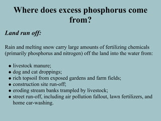 Where does excess phosphorus come
                  from?
Land run off:

Rain and melting snow carry large amounts of fertilizing chemicals
(primarily phosphorus and nitrogen) off the land into the water from:

   livestock manure;
   dog and cat droppings;
   rich topsoil from exposed gardens and farm fields;
   construction site run-off;
   eroding stream banks trampled by livestock;
   street run-off, including air pollution fallout, lawn fertilizers, and
   home car-washing.
 