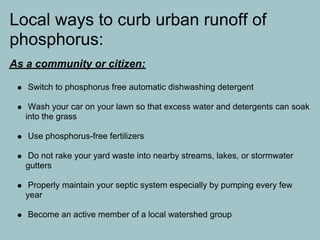 Local ways to curb urban runoff of
phosphorus:
As a community or citizen:

   Switch to phosphorus free automatic dishwashing detergent

    Wash your car on your lawn so that excess water and detergents can soak
   into the grass

   Use phosphorus-free fertilizers

   Do not rake your yard waste into nearby streams, lakes, or stormwater
   gutters

    Properly maintain your septic system especially by pumping every few
   year

   Become an active member of a local watershed group
 