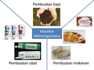 Kebaikan
Mikroorganisma
Pembuatan baja
Pembuatan ubat Pembuatan makanan
 