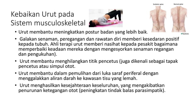 kebaikan-urutan-pada-sistem-badan-dan-kepentingann-pptx