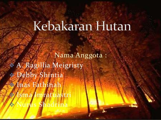 Terpopuler 12+ Contoh Teks Eksplanasi Kebakaran Hutan Yang Paling Keren