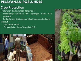 PELAYANAN POSLUHDES
Crop Protection
( Pelayanan Perlindungan tanaman )
- Melindungi tanaman dari serangan hama dan
penyakit.
- Perlindungan lingkungan melalui tanaman budidaya.
Meliputi :
- Kesuburan Tanah
- Pengendalian Hama Terpadu ( PHT )
11
 