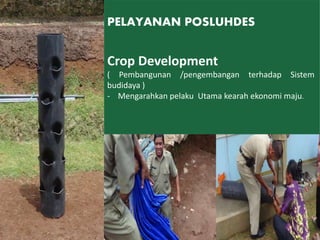 Crop Development
( Pembangunan /pengembangan terhadap Sistem
budidaya )
- Mengarahkan pelaku Utama kearah ekonomi maju.
PELAYANAN POSLUHDES
12
 