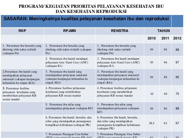 Kesehatan Ibu dan Anak di Desa Sikabau Tantangan dan Solusi