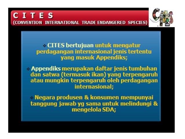 Kebijakan Konservasi Jenis Ikan