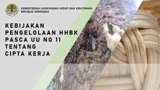 Kebijakan Pengelolaan HHBK Pasca UU No. 11 tentang Cipta Kerja