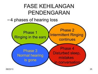 Kebisingan | PPT