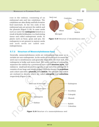 MORPHOLOGY OF FLOWERING PLANTS | PDF