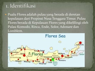  Pualu Flores adalah pulau yang berada di deretan
kepulauan dari Propinsi Nusa Tenggara Timur. Pulau
Flores berada di Kepulauan Flores yang dikelilingi oleh
Pulau Komodo, Rinca, Ende, Solor, Adonare dan
Lomblem.
 