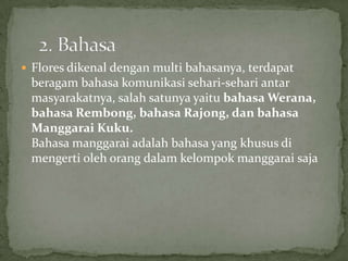 Flores dikenal dengan multi bahasanya, terdapat
beragam bahasa komunikasi sehari-sehari antar
masyarakatnya, salah satunya yaitu bahasa Werana,
bahasa Rembong, bahasa Rajong, dan bahasa
Manggarai Kuku.
Bahasa manggarai adalah bahasa yang khusus di
mengerti oleh orang dalam kelompok manggarai saja
 