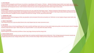 1. COLLOSEUM
Colloseum adalah peninggalan sejarah berupa arena gladiator yang dibangun oleh Vespasian. Colloseum didirikan berdekatan dengan sebuah istana megah yang sebelumnya
dibangun Nero yang bernama Domus Aurea yang dibangun setelah kebakaran besar di Roma pada tahun 64 M. Colloseum berbentuk stadion yang menyajikan hiburan pertahanan
antara tahanan dan binatang dan lain-lain. Lantai Colloseum terbuat dari pasir untuk mencegah agar darah-darah tidak mengalir kemana-mana.
2. PANTHEON
Pantheon adalah sebuah kuil yang berbentuk bulat di pusat kota roma yaitu rumah dewa bagi bangsa romawi. Pantheon mempunyai beberapa bangunan utama yaitu Portico
(serambi depan), Rotunda (bangunan Bulat), dan dilengkapi tempat pemandian dan taman air. Di depan Portico terdapat 16 buah tiang bewarna merah yang terbuat dari granit
yang menyokong atap. Sedangkan Rotunda, dilengkapi oleh kubah besar setinggi 140 kaki yang disebut kubah langit.
2. AMPHITHEATER
Amphitheatre adalah sebuah gelanggang terbuka yang digunakan untuk pertunjukan hiburan dan pertunjukan seni. Berbentuk oval atau lingkaran dengan tempat duduk yang
dibuat disekelilingnya.
3. CIRCUS MAXIMUS
Yaitu Stadion Roma Kuno yang menyajikan hiburan sirkus untuk balapan kuda dan tempat entertaiment massa.
4. AQUADUK
Yaitu bangunan saluran air bersih yang dibangun oleh romawi memiliki multifungsi seperti jalan raya, di atas untuk mempercepat gerakan tentara dari pusat ke daerah. Sedangkan
bawahnya untuk keperluan irigrasi. Salah satu jalan raya yang kuat adalah Via Apia yang masih ada sampai sekarang.
5. LOACA MAXIMA
Saluran pengairan untuk menyalurkan kelebihan air hujan yang hingga sekarang terpelihara dengan baik.
6. FORUM ROMANUM
Yaitu gedung pemerintahan atau plaza persegi yang dikelilingi oleh reruntuhan sejumlah bangunan pemerintahan kuno. Disini, berbagai patung dan monumen menjadi tugu
peringatan pagi pahlawan kota. Sebagai jantung romawi, forum ini disebut-sebut sebagai tempat pertemuan paling ramai sepanjang sejarah dunia.
 