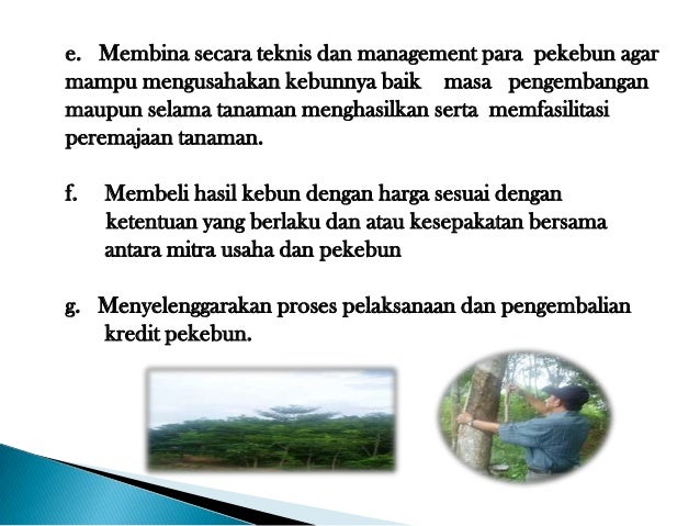 Revitalisasi Revitalisasi