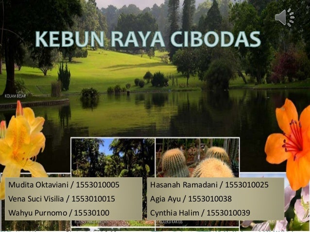 Area Lansekap Hutan Dan Padang Rumput Kebun Raya Cibodas