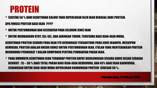 PROTEIN
• SEKITAR 50 % DARI KEBUTUHAN KALORI YANG DIPERLUKAN OLEH IKAN BERASAL DARI PROTEIN.
APA FUNGSI PROTEIN BAGI IKAN ????
• UNTUK PERTUMBUHAN DAN KESEHATAN PADA SELURUH JENIS IKAN
• UNTUK MEMBANGUN OTOT, SEL-SEL, DAN JARINGAN TUBUH, TERUTAMA BAGI IKAN-IKAN MUDA.
KEBUTUHAN PROTEIN SENDIRI PADA IKAN ITU BERVARIASI TERGANTUNG PADA JENIS IKANNYA. MESKIPUN
DEMIKIAN, PROTEIN ADALAH UNSUR KUNCI UNTUK PERTUMBUHAN IKAN, ITULAH YANG MENYEBABKAN PROTEIN
MENDUDUKI PERINGKAT 1 DALAM KOMPONEN PENTING PEMBUATAN PAKAN IKAN.
• PADA UMUMNYA KEBUTUHAN IKAN TERHADAP PROTEIN DAPAT DIGOLONGKAN SECARA GARIS BESAR SEBAGAI
BERIKUT : 15 – 30 % DARI TOTAL PAKAN BAGI IKAN-IKAN HERBIVORA, DAN 45% BAGI IKAN KARNIVORA.
SEDANGKAN UNTUK IKAN-IKAN MUDA DIPERLUKAN KANDUNGAN PROTEIN SEBESAR 50 %.
 