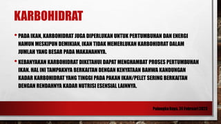 KARBOHIDRAT
•PADA IKAN, KARBOHIDRAT JUGA DIPERLUKAN UNTUK PERTUMBUHAN DAN ENERGI
NAMUN MESKIPUN DEMIKIAN, IKAN TIDAK MEMERLUKAN KARBOHIDRAT DALAM
JUMLAH YANG BESAR PADA MAKANANNYA.
•KEBANYAKAN KARBOHIDRAT DIKETAHUI DAPAT MENGHAMBAT PROSES PERTUMBUHAN
IKAN. HAL INI TAMPAKNYA BERKAITAN DENGAN KENYATAAN BAHWA KANDUNGAN
KADAR KARBOHIDRAT YANG TINGGI PADA PAKAN IKAN/PELET SERING BERKAITAN
DENGAN RENDAHNYA KADAR NUTRISI ESENSIAL LAINNYA.
 
