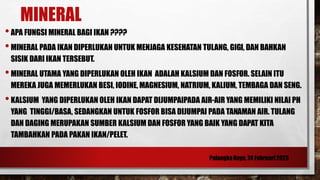MINERAL
•APA FUNGSI MINERAL BAGI IKAN ????
•MINERAL PADA IKAN DIPERLUKAN UNTUK MENJAGA KESEHATAN TULANG, GIGI, DAN BAHKAN
SISIK DARI IKAN TERSEBUT.
•MINERAL UTAMA YANG DIPERLUKAN OLEH IKAN ADALAH KALSIUM DAN FOSFOR. SELAIN ITU
MEREKA JUGA MEMERLUKAN BESI, IODINE, MAGNESIUM, NATRIUM, KALIUM, TEMBAGA DAN SENG.
•KALSIUM YANG DIPERLUKAN OLEH IKAN DAPAT DIJUMPAIPADA AIR-AIR YANG MEMILIKI NILAI PH
YANG TINGGI/BASA, SEDANGKAN UNTUK FOSFOR BISA DIJUMPAI PADA TANAMAN AIR. TULANG
DAN DAGING MERUPAKAN SUMBER KALSIUM DAN FOSFOR YANG BAIK YANG DAPAT KITA
TAMBAHKAN PADA PAKAN IKAN/PELET.
 