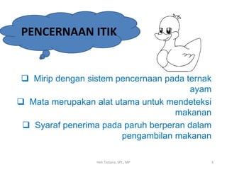  Mirip dengan sistem pencernaan pada ternak
ayam
 Mata merupakan alat utama untuk mendeteksi
makanan
 Syaraf penerima pada paruh berperan dalam
pengambilan makanan
PENCERNAAN ITIK
3Heli Tistiana, SPt., MP
 