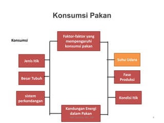 Konsumsi Pakan
Konsumsi
Kandungan Energi
dalam Pakan
Faktor-faktor yang
mempengaruhi
konsumsi pakan
Jenis Itik
Besar Tubuh
Suhu Udara
Fase
Produksi
sistem
perkandangan
Kondisi Itik
4Heli Tistiana, SPt., MP
 