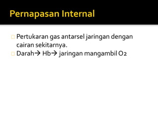 Pertukaran gas antarsel jaringan dengan 
cairan sekitarnya. 
Darah Hb jaringan mangambilO2 
 