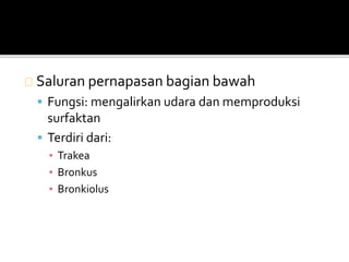 Saluran pernapasan bagian bawah 
 Fungsi: mengalirkan udara dan memproduksi 
surfaktan 
 Terdiri dari: 
▪ Trakea 
▪ Bronkus 
▪ Bronkiolus 
 