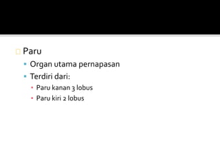 Paru 
 Organ utama pernapasan 
 Terdiri dari: 
▪ Paru kanan 3 lobus 
▪ Paru kiri 2 lobus 
 
