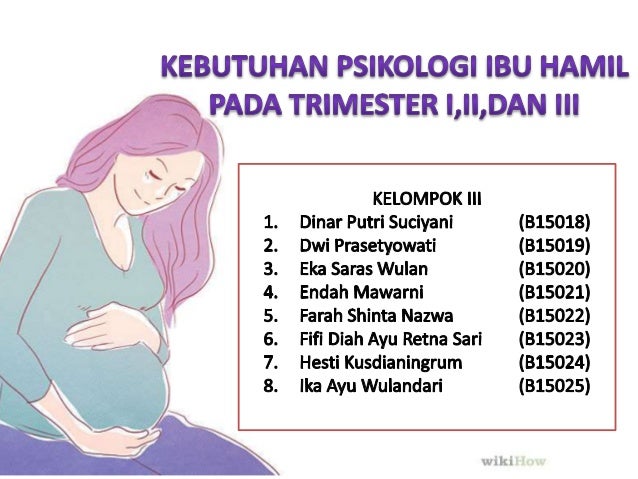 Perubahan Psikologis Pada Ibu Hamil Perubahan Psikologis Pada Ibu Hamil