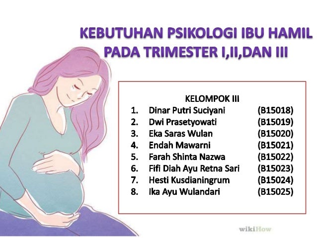 Kebutuhan Psikologi Ibu Hamil Pada Trimester I Ii Dan Iii