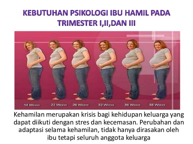 Perubahan Psikologi Pada Ibu Hamil Trimester 3 Ilustrasi Perubahan Psikologi Pada Ibu Hamil Trimester 3 Ilustrasi