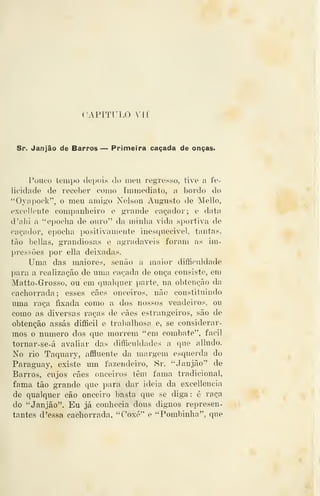 CAPITULO VU
Sr. Janjão de Barros — Primeira caçada de onças.
Pouco tempo depois do meu regresso, tive a fe-
licidade de receber como Immediato, a bordo do
"Oyapock", o meu amii2,o Nelson Augusto de Aíello,
excelleute companheiro e grande caçador; e data
d'alii a "epocha de ouro" da minha vida sportiva de
caçador, epocha positivamente inesquecível, tantas,
tão bellas, grandiosas e agradáveis foram as im-
pressões por ella deixadas.
Uma das maiores, senão a maior difficuldade
para a realização de uma caçada de onça consiste, em
Matto-Grosso, ou em qualquer parte, na obtenção da
cachorrada; esses cães onceiros, não constituindo
uma raça fixada como a dos nossos veadeiros, ou
como as diversas raças de cães estrangeiros, são de
obtenção assas difficil e trabalhosa e, se considerar-
mos o numero dos que morrem "em combate", fácil
tornar-se-á avaliar das difficuldades a que alludo.
No rio Taquary, aflfluente da margem esquerda do
Paraguay, existe um fazendeiro, Sr. "Janjão" de
Barros, cujos cães onceiros têm fama tradicional,
fama tão grande que para dar ideia da excellencia
de qualquer cão onceiro basta que se diga : é raça
do "Janjão". Eu já conhecia dous dignos represen-
tantes d 'essa cachorrada, "Coxé" e "Pombinha", que
 