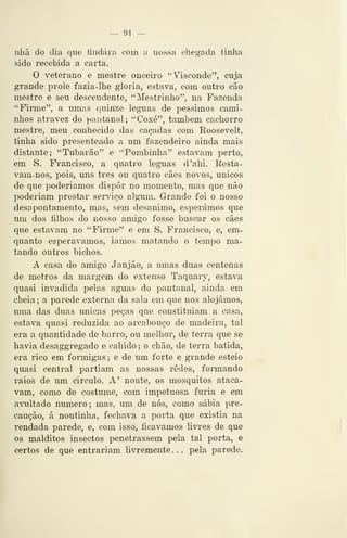 — 91 —
nhã do dia que findara com a nossa ehegada tinha
sido recebida a carta.
O veterano e mestre onceiro "Visconde", cuja
grande prole fazia-lhe gloria, estava, com outro cão
mestre e seu descendente, "Mestrinho", na Fazenda
"Firme", a. umas quinze léguas de péssimos cami-
nhos atravez do pantanal; "Coxé", também cachorro
mestre, meu conhecido das caçadas com Roosevelt,
tinha sido presenteado a um fazendeiro ainda mais
distante; "Tubarão" e "Pombinha" estavam perto,
em S. Francisco, a quatro léguas d'ahi. Resta-
vam-nos, pois, uns três ou quatro cães novos, únicos
de que poderíamos dispor no momento, mas que não
poderiam prestar serviço algum. Grande foi o nosso
desapontamento, mas, sem desanimo, esperámos que
um dos filhos do nosso amigo fosse buscar os cães
que estavam no "Firme" e em S. Francisco, e, em-
quanto esperávamos, iamos matando o tempo ma-
tando outros bichos.
A casa do amigo Janjão, a umas duas centenas
de metros da margem do extenso Taquary, estava
quasi invadida pelas aguas do pantanal, ainda em
cheia ; a parede externa da sala em que nos alojámos,
uma das duas únicas peças que constituíam a casa,
estava quasi reduzida ao arcabouço de madeira, tal
era a quantidade de barro, ou melhor, de terra que se
havia desaggregado e cabido ; o chão, de terra batida,
era rico em formigas; e de um forte e grande esteio
quasi central partiam as nossas redes, formando
raios de um circulo. A' noute, os mosquitos ataca-
vam, como de costume, com impetuosa fúria e em
avultado numero; mas, um de nós, como sábia pre-
caução, á noutinha, fechava a porta que existia na
rendada parede, e, com isso, ficávamos livres de que
os malditos insectos penetrassem pela tal porta, e
certos de que entrariam livremente . . . pela parede.
 