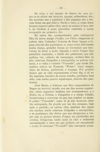 — 92 —
De casa, e até mesmo de dentro de casa po-
der-se-ia atirar em tiiyúyús, garças, colhereiros, etc,
tão próximo era o pantanal e tão pequeno era o ter-
reno firme em que estava ilbada a casa; e, como fosse
forçoso esperar pelos cães, mais ou menos n'isso, isto
é, no tiroteio a esses pernaltas consistiu a nossa
occupação no primeiro dia.
No outro dia, acompanhados pelo infatigável
filho do nosso amigo Janjão, seu Chico, chegaram os
pobres cães. Coitados ! tiveram de fazer léguas e lé-
guas atravez dos pantauaes ; e, como esses estivessem
muito cheios, grandes foram as travessias que hou-
veram de fazer a nado. Quando o nivel d 'agua lhes
permittia caminhar, o fundo dos pantauaes, que não
podiam ver, coberto de caramujos, cortava-lhes os
pés; estavam fatigados e estropiados os pobres ani-
maes, e o velho e valente "Visconde", que desde De-
zembro estava na Fazenda "Firme", viera magro,
cheio de bichos, gafeirento e trôpego. Foi preciso
deixar que os cães repousassem n'esse dia, e só no
dia seguinte, terceiro de nossa estadia, partimos, bem
cedo, com muito poucas esperanças, atravez dos pan-
tauaes.
José Maria, o bahiano que fora companheiro de
Bugre na terrivel caçada, era um dos nossos zagaiei-
ros; outro zagaieiro também nos acompanhava, e o
Botto, eu, o Nelson, o Junqueira e o amigo Janjão,
formávamos a caravana de que iam zombar as onças.
O pobre "Visconde", como se já não bastasse estar
tão estropiado, foi pisado por um dos animaes, logo
após a partida; os outros cães, nenhum dos quaes
era mestre, ainda estavam fatigados e estropiados;
e os pantauaes, tão cheios que nos obrigavam a via-
jar com as pernas dentro d 'agua, ou ajoelhados nos
arreios, fatigavam ainda mais os cães e reduziam
enormemente a área em que poderia ser encontrado
o rasto. O veterano "Visconde" não conseguiu acom-
 
