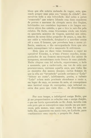 — 96 —
bloco que elle estava andando de vagar, este, que-
rendo pregar uma peça aos "moços da cidade", des-
envolveu toda a sua velocidade. Mal sabia o pobre
"camarada" que estava lidando com dous caçadores
de porcos e macucos da abrupta serra dos Órgãos,
habituados aos caminhos Íngremes e ás longas car-
reiras atraz dos catetús, e que o tiro ia sair-lhe pela
culatra. De facto, como tivéssemos ainda uns trinta
ou quarenta minutos de viagem, marchei nos calca-
nhares do nosso falso pregador de peças, e, sem dei-
xar cahir a velocidade, forçámol-o a marchar assim
até a casa. O homem, que percebera bem a nossa pi-
lhéria, sumiu-se, e tão envergonhado ficou que não
mais conseguimos vel-o emquanto lá estivemos.
Mais uma ou duas vezes tornámos a caçar no
aprazível Urucúm, e, n'uma d 'essas caçadas, acom-
panhados de um francez encarregado das minas de
manganez, encontrámos rasto fresco de uma pintada.
Muito alegres com tal achado, esperávamos, a todo
o momento, que a cachorrada, em vez da anta que
procurávamos, corresse aquella onça, que vinha tão
ao encontro dos nossos desejos; certos ficámos de
que ia ella ser "levantada" quando ouvimos o "Leão"
"dobrar no rasto", infelizmente, porém, o valente
"Leão" achou mais prudente abandonar o rasto e,
em lugar de onça, ou mesmo da anta, só conseguimos
uma terrível carga de carrapatos, cuja infernal co-
ceira deu para uns vinte dias... de divertimento.
Por esse tempo, o infatigável amigo Botto, que
já me proporcionara as relações com o amigo Janjão,
e que me havia apresentado ao Sr. Jenú, insistia com
este para que se conseguisse uma caçada em que mor-
resse, pelo menos, uma onça; e assim foi que, um
bello dia, appareceu em nossa casa, no Ladarío, para
combinarmos uma caçada, o próprio Sr. Jenú.
 