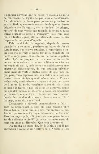 — 101 —
e aguçada elevação que se encontra isolada no meio
de centenares de léguas de pântanos e bamburraes.
As 8 da noute, parámos para pousar no primeiro lu-
gar habitado que encontrávamos desde que havíamos
deixado o rio Paraguay, era o "retiro" do Alegre,
"retiro" de uma vastíssima fazenda de criação, cujas
terras seguíamos desde o Paraguay, pois, com suas
c^nto e tantas léguas, ella se estende da serra da Bo-
daquena ás margens d'aquelle rio.
Pela manhã do dia seguinte, depois de termos
tomado leite no curral, partimos em busca da foz do
Aquidauana, que estava próxima, e começámos a su-
bir esse rio estreito e muito tortuoso, abundante em
peixe e caça, principalmente em pernaltas e palmi-
pedes. Após um pequeno percurso em que fomos di-
versas vezes sobre a barranca, soltámos os cães era
um capão de matto, mais para que satisfizessem suas
exigências physiologicas, de que estavam privados
havia mais de 'inte e quatro horas, do que para ca-
çar, pois, como esperávamos, era cedo ainda para en-
contrarmos o inimigo, que alli não se achava. Presa a
cachorrada, continuámos a viagem até que, por cerca
de 3 horas da tarde, chegámos á foz do rio Aniâli
(é nome indígena e não sei como se escreve), ponto
em que deveríamos estabelecer o nosso acampamento
pennanente, o que logo tratámos de fazer. Assim,
depois de três dias de viagem, chegávamos ao "fox"
da onça, como dizia seu Jenú.
Desbastada a cipoada emmaranhada e feito o
fogo do acampamento, salii em uma chalaua para
tomar banho n'uma praia, a uns cem metros de dis-
tancia; pareceu-me logo que estávamos de facto no
foco das onças, pois, alli, junto do acampamento, an-
tes de subirmos o AniéU, já encontrávamos rasto de
onça em todas as direcções. Que bom prenuncio
Na manhã do outro dia, 30 de Maio, o sol já nos
encontrou a caminho da "solta": eu, o Nelson, o José
 