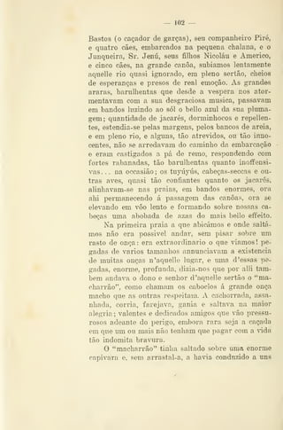 — 102 —
Bastos (o caçador de garças), seu companheiro Pire,
e quatro cães, embarcados na pequena chalana, e o
Junqueira, Sr. Jenú, seus filhos Nicolau e Américo,
e cinco cães, na grande canoa, subiamos lentamente
aquelle rio quasi ignorado, em pleno sertão, cheios
de esperanças e presos de real emoção. As grandes
araras, barulhentas que desde a véspera nos ator-
mentavam com a sua desgraciosa musica, passavam
em bandos luzindo ao sói o bello azul da sua pluma-
gem ;
quantidade de jacarés, dorminhocos e repellen-
tes, estendia-se pelas margens, pelos bancos de areia,
e em pleno rio, e alguns, tão atrevidos, ou tão inno-
centes, não se arredavam do caminho da embarcação
e eram castigados a pá de remo, respondendo cora
fortes rabanadas, tão barulhentas quanto inoffensi-
vas. . . na occasião; os tuyúyús, cabeças-seccas e ou-
tras aves, quasi tão confiantes quanto os jacarés,
alinhavam-se nas praias, em bandos enormes, ora
ahi permanecendo á passagem das canoas, ora se
elevando em voo lento e formando sobre nossas ca-
beças uma abobada de azas do mais bello effeito.
Na primeira praia a que abicámos e onde saltá-
mos não era possível andar, sem pisar sobre um
rasto de onça: era extraordinário o que víamos! pe-
gadas de vários tamanhos annuneiavam a existência
de muitas onças n 'aquelle lugar, e uma d 'essas pe-
gadas, enorme, profunda, dizia-nos que por alli tam-
bém andava o dono e senhor d 'aquelle sertão o "ma-
charrão", como chamam os caboclos á grande onça
macho que as outras rcvspeitam. A cachorrada, assa-
nhada, corria, farejava, gania e saltava na maior
alegria ; valentes e dedicados amigos que vão pressu-
rosos adeante do perigo, embora rara seja a caçada
em que um ou mais não tenham que pagar com a vida
tão indómita bravura.
O "macharrão" tinha saltado sobre uma enorme
capivara e, sem arrastal-a, a havia conduzido a uns
 
