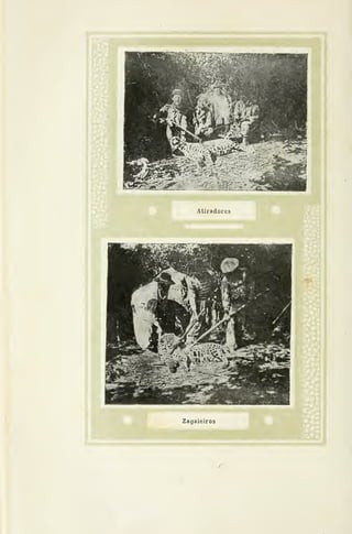 mm iMMHHPI
Atii'adores
 