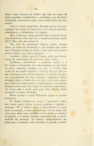 -^ 107 —
dores como éramos do habito que têm as onças de
fazer grandes caminhadas, o desanimo, que já havia
começado, augmentou com o que acabávamos de con-
statar.
Com as caras compridas, falando pouco, nos aco-
corámos em torno do churrasco e da cuia de melado
almoçámos e retomámos as canoas.
Mas, senhores, seria possivel que as onças tives-
sem desertado, ellas cjue até a véspera haviam estado
alli?! Não, não era possivel.
Um raio de esperança sempre existe, mesmo
fraco, no meio do desanimo, e, um d 'entre nós, creio
que o Nelson, propoz a visita a um capão que estava
pouco abaixo, na outra margem.
Acceita a ideia, para lá fomos, mais por desen-
cargo de c-onsciencia do que por outra cousa.
Saltámos, abordámos o pequeno capão, e o
Sr. Jenú e o Junqueira já se dispunham a ir em busca
de umas aracuãs, quando, um cão, o "Leão", deu
rasto de um modo especial e diverso do que até en-
tão ouviramos nos outros lugares. O caçador de gar-
ças, jDroprietario do cão, estacou e chamou a nossa
attenção para o latido do seu cão ; todos nós estacá-
mos onde nos achávamos, e, subitamente, o desanimo
desappareceu para dar lugar ás maiores esperanças,
tal havia sido o modo pelo qual José Bastos tinha
chamado a nossa attenção.
Seria mesmo a onça? Estariam pagos os nossos
esforços?
O "Leão" dobrou no rasto e "barruou", outro
cão, outro mais, latem, correm, acodem e ajudam a
acuação. "E' o bicho", grita o José Bastos, e corre
para a acuação; o meu enthusiasmo vae ao auge, não
vejo mais cipós nem espinhos, corro jmito ao caçador
de garças, e a minha alegria augmenta com a proxi-
midade da acuação. Os outros companheiros se-
guem-me, a acuação está próxima, é grande o baru-
 