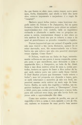 — 108 —
lho que fazem os cães; mas, outro rumor, novo para
mim, forte, dominador, que abafa o latir dos nove
cães, ouve-se imponente e majestoso: é o rugir do
"canguçu".
EJmbora quasi todos juntos, como houvesse che-
gado antes do Nelson e do Junqueira, fui eu quem
formou a linha dos zagaieiros para atirar no animal;
approximámo-nos com cautela, indo os zagaieiros
cortando e afastando o matto com as próprias za-
gaias e, assim, conseguimos chegar a uns cinco ou
seis metros do local em que se achava a onça e da
qual só percebíamos os grandes rosnados e rugidos.
Parece impossível que um animal d'aquelle porte
não seja visivel a tão curta distancia, apezar de se
estar movendo, mas, tão emmaranhado era o bam-
burro em que estava que não era possível enxergar
cousa alguma. Como fazer?
O Nelson, vendo-me na linha de fogo, correcta-
mente collocou-se um pouco á nossa esquerda, prom-
pto para o que succedesse, mas deixando a mim o
appetecido tiro; o Junqueira, ao lado do Sr. Jenú,
ficou a uns dous metros atraz de mim e, assim pos-
tados, tratava-se agora de fazer a fera saltar do lu-
gar onde estava para um outro onde fosse visivel.
O José Bastos propoz que fossemos "onde estava o
bicho"; mas tal proposta era absurda e louca, pois,
se onde estávamos a manobra já não era fácil, im-
possível mesmo seria entrar no mais sujo do bam-
burro. Então, no meio dos rugidos e latidos, um za-
gaieiro instigou um cão preto, o "Desengano"^ fraco
e débil, para que, assim provocada para o nosso lado,
para nós saltasse essa onça, que não ha'ia dado um
passo ante a approximação dos cães.
Como nas minhas caçadas de perdiz, em que só
engatilho e levo a arma á cara quando a ave já voa,
ahi, embora se tratasse de uma perdiz bem menos
 
