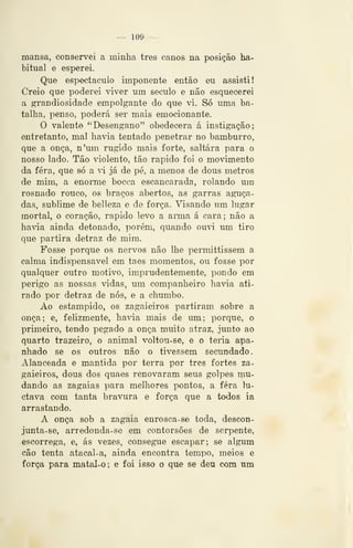 - 109 -
mansa, conservei a minha três canos na posição ha-
bitual e esperei.
Que espectáculo imponente então eu assisti!
Creio que poderei viver um século e não esquecerei
a grandiosidade empolgante do que vi. Só uma ba-
talha, penso, poderá ser mais emocionante.
O valente "Desengano" obedecera á instigação;
entretanto, mal havia tentado penetrar no bamburro,
que a onça, n'um rugido mais forte, saltara para o
nosso lado. Tão violento, tão rápido foi o movimento
da fera, que só a vi já de pé, a menos de dous metros
de mim, a enorme bocca escancarada, rolando um
rosnado rouco, os braços abertos, as garras aguça-
das, sublime de belleza e de força. Visando um lugar
mortal, o coração, rápido levo a arma á cara; não a
havia ainda detonado, porém, quando ouvi um tiro
que partira detraz de mim.
Fosse porque os nervos não lhe permittissem a
calma indispensável em taes momentos, ou fosse por
qualquer outro motivo, imprudentemente, pondo em
perigo as nossas vidas, um companheiro havia ati-
rado por detraz de nós, e a chumbo.
Ao estampido, os zagaieiros partiram sobre a
onça ; e, felizmente, haâa mais de um ;
porque, o
primeiro, tendo pegado a onça muito atraz, junto ao
quarto trazeiro, o animal voltou-se, e o teria apa-
nhado se os outros não o tivessem secundado.
Alanceada e mantida por terra por três fortes za-
gaieiros, dous dos quaes renovaram seus golpes mu-
dando as zagaias para melhores pontos, a fera lu-
ctava com tanta bravura e força que a todos ia
arrastando.
A onça sob a zagaia enrosca- se toda, descon-
junta-se, arredonda-se em contorsões de serpente,
escorrega, e, ás vezes, consegue escapar; se algum
cão tenta atacal-a, ainda encontra tempo, meios e
força para matal-o ; e foi isso o que se deu com um
 