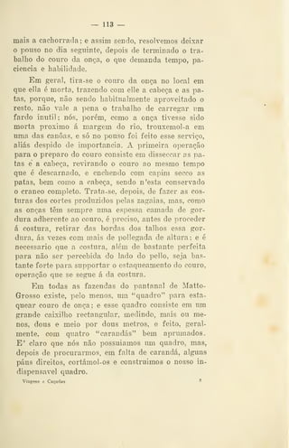 — 113 —
mais a cachorrada ; e assim sendo, resolvemos deixar
o pouso no dia seguinte, depois de terminado o tra-
balho do couro da onça, o que demanda tempo, pa-
ciência e habilidade.
Em geral, tira-se o couro da onça no local em
que ella é morta, trazendo com elle a cabeça e as pa-
tas, porque, não sendo habitualmente aproveitado o
resto, não vale a pena o trabalho de carregar um
fardo inútil ; nós, porém, como a onça tivesse sido
morta próximo á margem do rio, trouxemol-a em
uma das canoas, e só no pouso foi feito esse serviço,
aliás despido de importância. A primeira operação
para o preparo do couro consiste em disseccar as pa-
tas e a cabeça, revirando o couro ao mesmo tempo
que é descarnado, e enchendo com capim secco as
patas, bem como a cabeça, sendo n'esta conservado
o craneo completo. Trata-se, depois, de fazer as cos-
turas dos cortes produzidos pelas zagaias, mas, como
as onças têm sempre uma espessa camada de gor-
dura adherente ao couro, é preciso, antes de proceder
á costura, retirar das bordas dos talhos essa gor-
dura, ás vezes com mais de pollegada de altura; e é
necessário que a costura, além de bastante perfeita
para não ser percebida do lado do pello, seja bas-
tante forte para supportar o estaqueamento do couro,
operação que se segue á da costura.
Em todas as fazendas do pantanal de Matto-
Grosso existe, pelo menos, um "quadro" para esta-
quear couro de onça; e esse quadro consiste em um
grande caixilho rectangular, medindo, mais ou me-
nos, dous e meio por dous metros, e feito, geral-
mente, com quatro "carandás" bem aprumados.
E' claro que nós não possuiamos um quadro, mas,
depois de procurarmos, em falta de carandá, alguns
paus direitos, cortámol-os e construimos o nosso in-
dispensável quadro.
Viagens e Caçadas ^
 