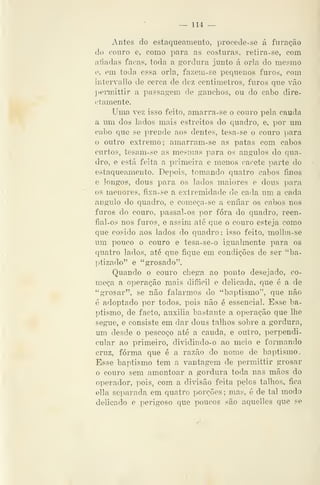 — 114 —
Antes do estaqueamento, procede-se á furacão
do couro e, como para as costuras, retira-se, com
afiadas facas, toda a gordura junto á orla do mesmo
e, em toda essa orla, fazem-se pequenos furos, com
intervallo de cerca de dez centímetros, furos que vão
pennittir a passagem de ganchos, ou do cabo dire-
ctamente.
Uma vez isso feito, amarra-se o couro pela cauda
a um dos lados mais estreitos do quadro, e, por um
cabo que se prende aos dentes, tesa-se o couro para
o outro extremo; amarram-se as patas com cabos
curtos, tesam-se as mesmas para os ângulos do qua-
dro, e está feita a primeira e menos cacete parte do
estaqueamento. Depois, tomando quatro cabos finos
e longos, dous para os lados maiores e dous para
os menores, fixa-se a extremidade de cada um a cada
angulo do quadro, e com.eça-se a enfiar os cabos nos
furos do couro, passal-os por fora do quadro, reen-
fial-os nos furos, e assim até que o couro esteja como
que cosido aos lados do quadro; isso feito, molha-se
um pouco o couro e tesa-se-o igualmente para os
quatro lados, até que fique em condições de ser "ba-
ptizado" e "grosado".
Quando o couro chega ao ponto desejado, co-
meça a operação mais difficil e delicada, que é a de
"grosar", se não falarmos do "baptismo", que não
é adoptado por todos, pois não é essencial. Ease ba-
ptismo, de facto, auxilia bastante a operação que lhe
segue, e consiste em dar dous talhos sobre a gordura,
um desde o pescoço até a cauda, e outro, perpendi-
cular ao primeiro, dividindo-o ao meio e formando
cruz, forma que é a razão do nome de baptismo.
Esse baptismo tem a vantagem de permittir grosar
o couro sem amontoar a gordura toda nas mãos do
operador, pois, com a divisão feita pelos talhos, fica
ella separada em quatro porções; mas, é de tal modo
delicado e perigoso que poucos são aquelles que se
 